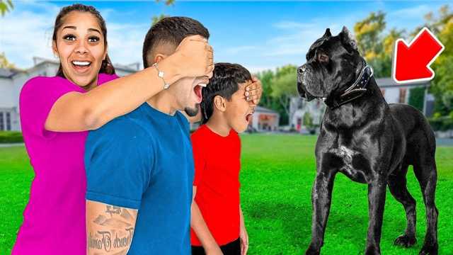 Kids Video: What we expect a puppy to look like img